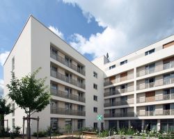 Fotograf: Seepe und Hund Architekten Senioren-Pflege-Wohnen-Rheinufer Innenhof