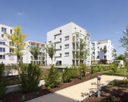 Fotograf: Felix Krumbholz Photography Rheinallee Grünanlage